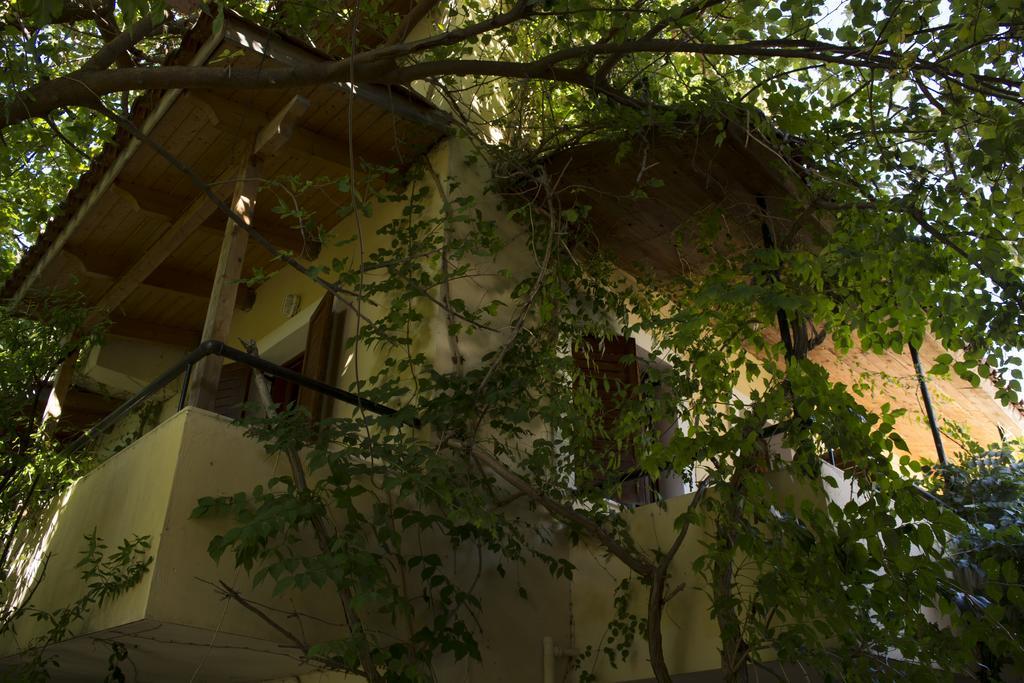 Staggia Studios Sami  Luaran gambar