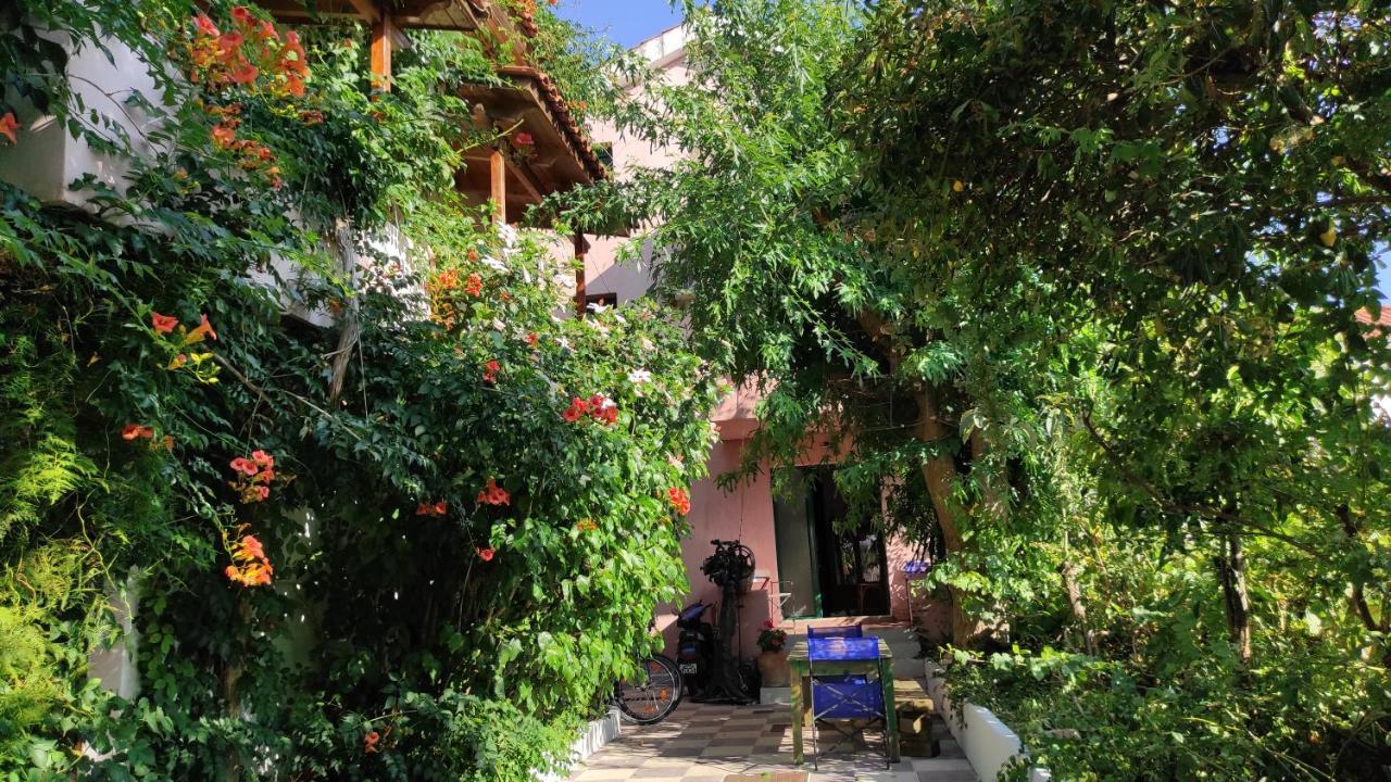Staggia Studios Sami  Luaran gambar