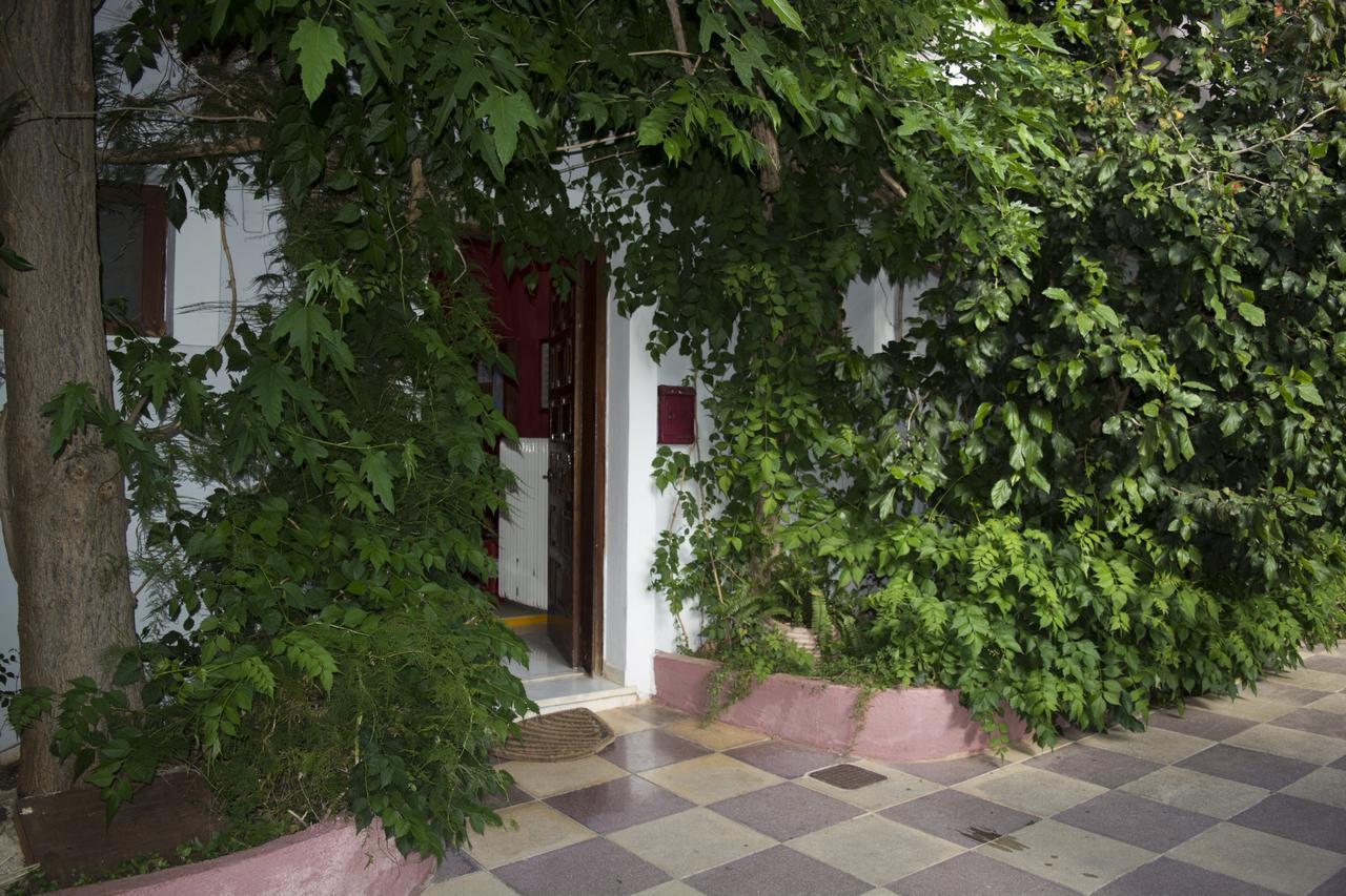 Staggia Studios Sami  Luaran gambar