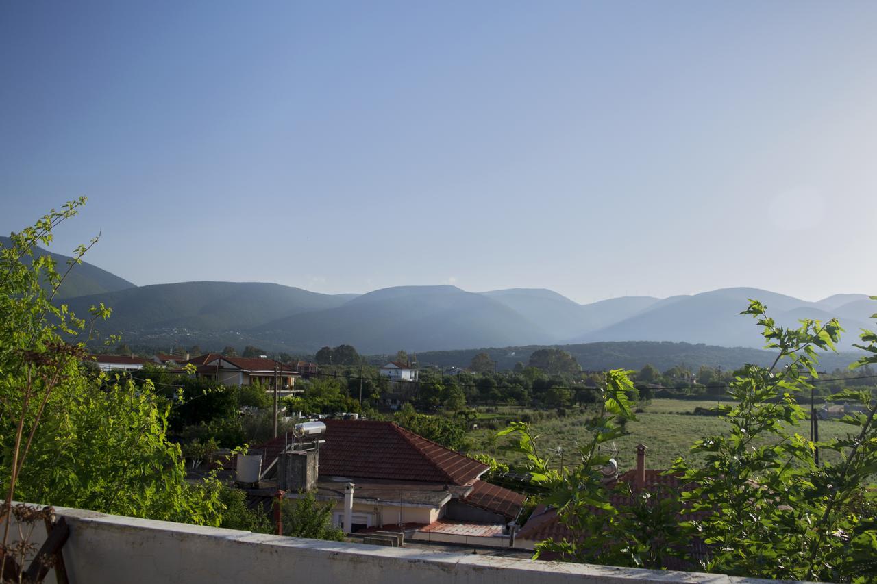 Staggia Studios Sami  Luaran gambar