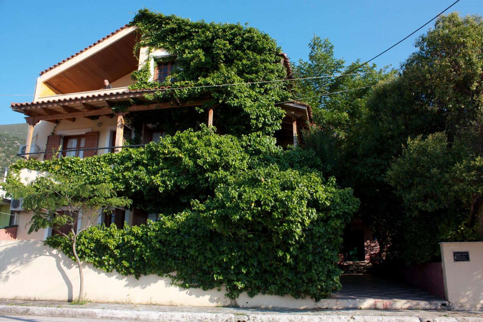 Staggia Studios Sami  Luaran gambar
